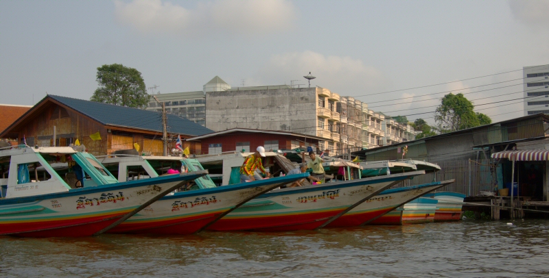 IMGP4089.jpg