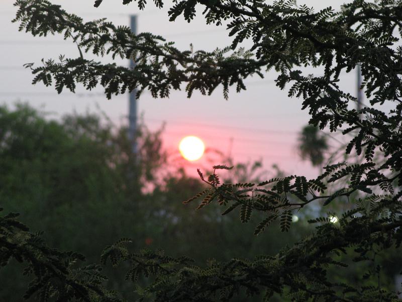 IMG_0436.JPEG