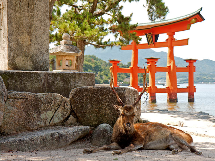 Miyajima, Japan