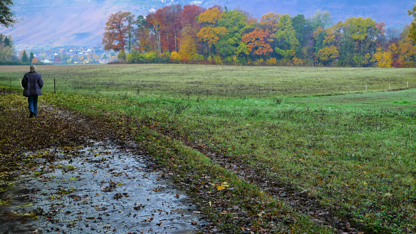 Autumn palette...