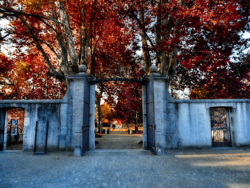An open gate over Autumn...