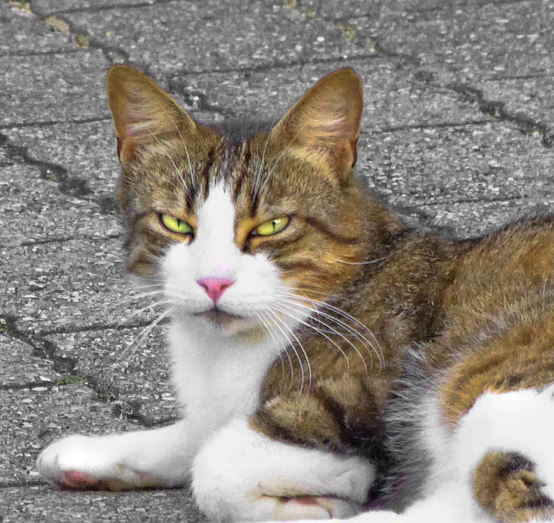 Im watching you...