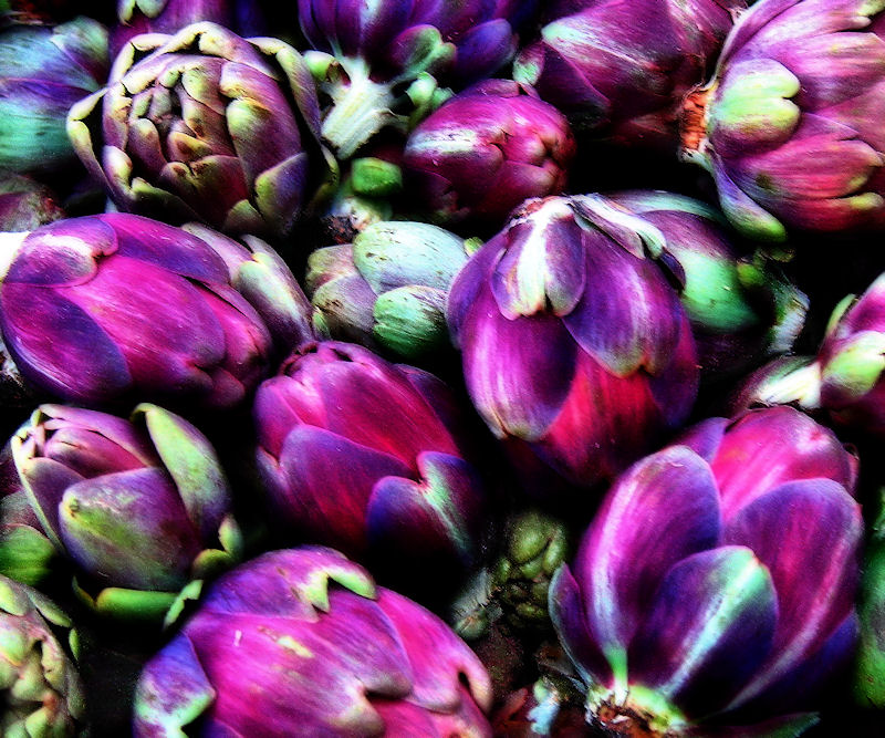 Purple artichokes