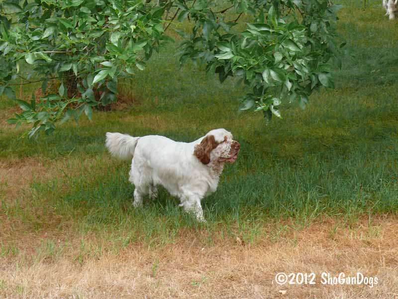 Emmie  120724 014.jpg