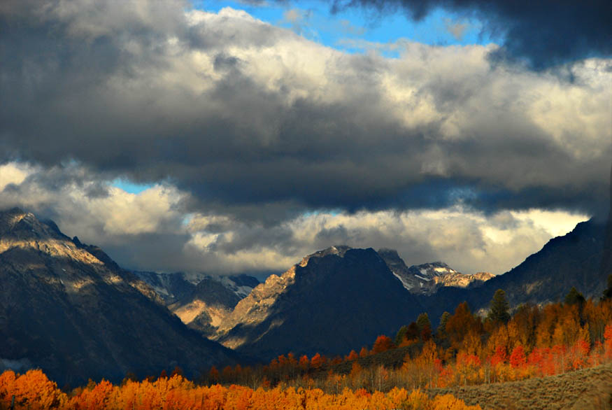 Autumns Glow