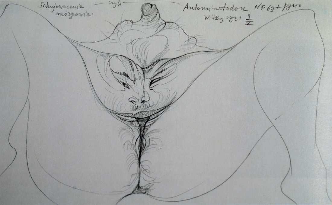 Schujowacenie mozgowia, 1931, pencil on paper