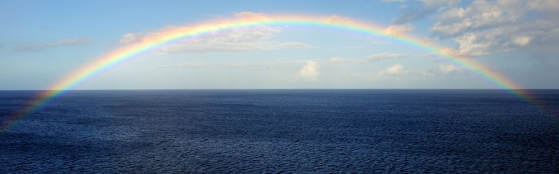 231_800x250.JPG