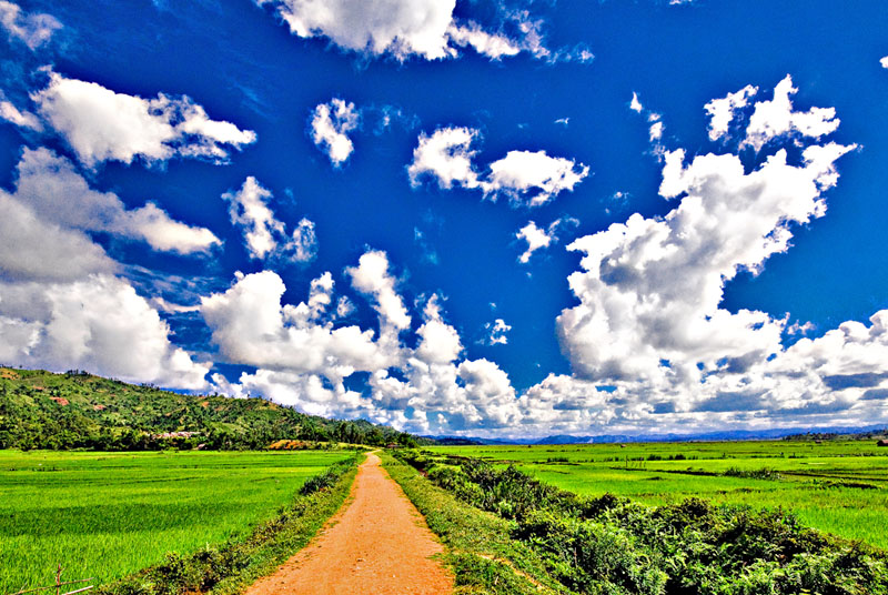 Countryside
