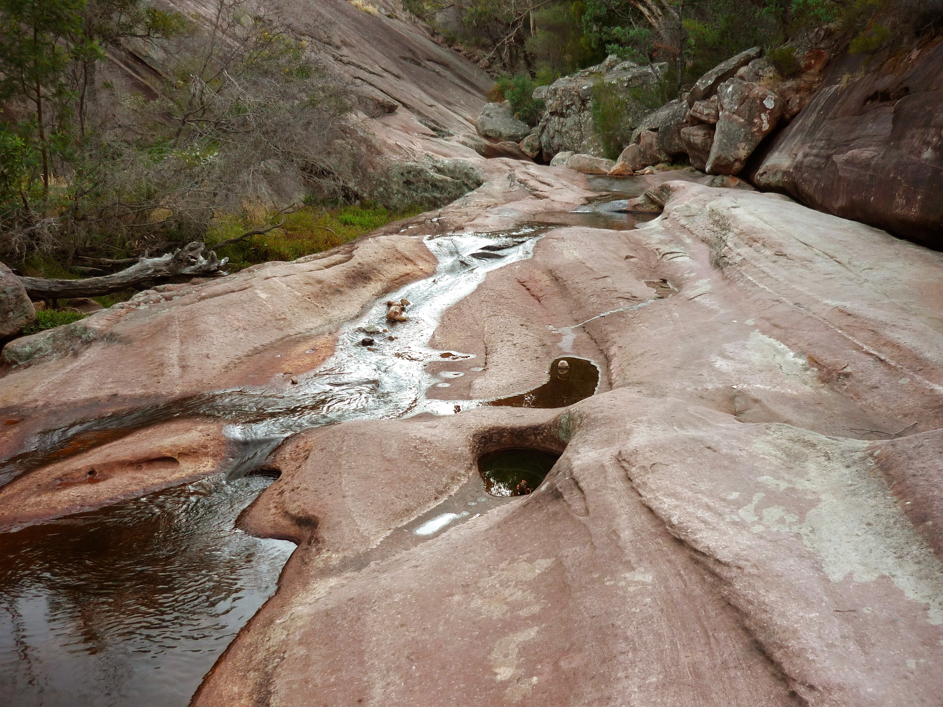 Venus Baths, Halls Gap
