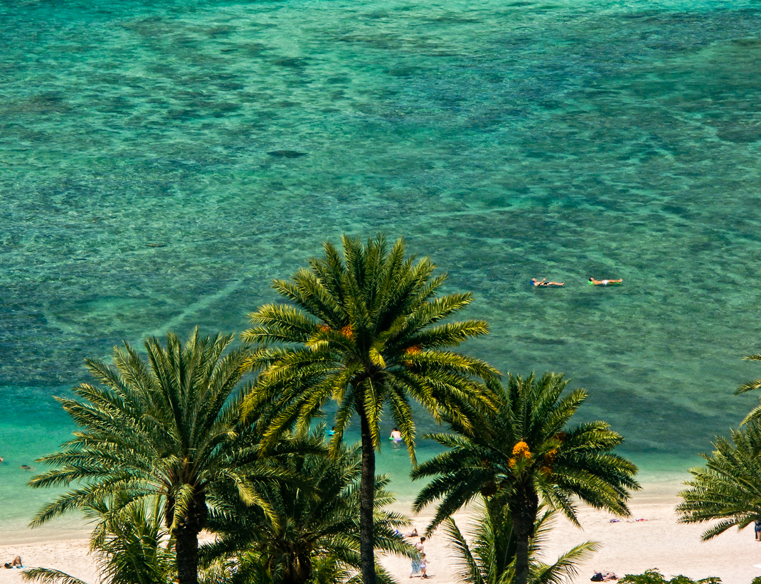 Floating in the Calm Waikiki Beach Water