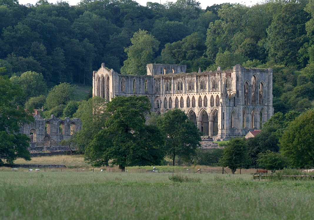 Rievaulx Abbey
