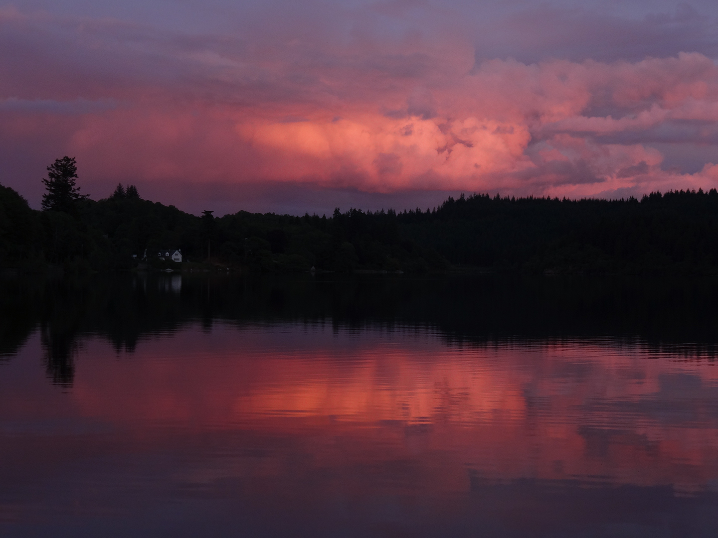 DSC00365ss1080.jpg