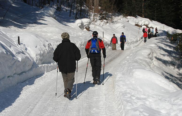 Kleinwalsertal - Winterwanderung Hrnlepass / Waldhaus