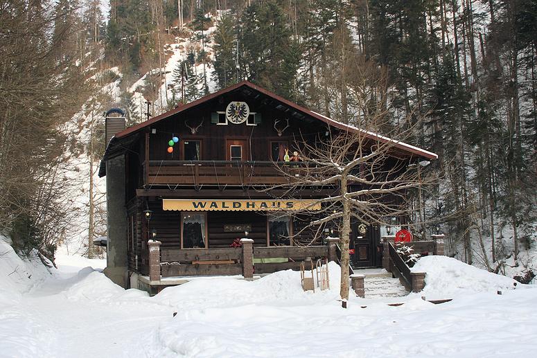 Kleinwalsertal - Winterwanderung Hrnlepass / Waldhaus