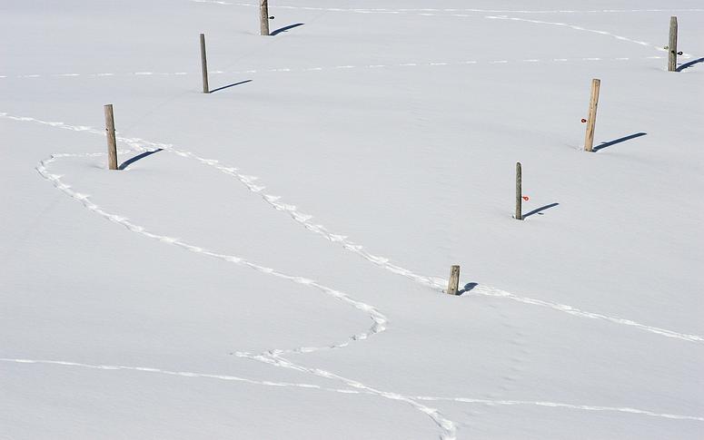 Kleinwalsertal