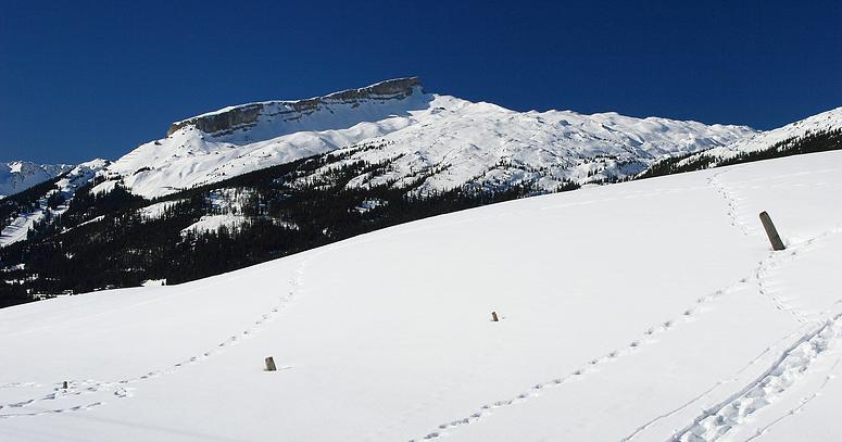 Kleinwalsertal