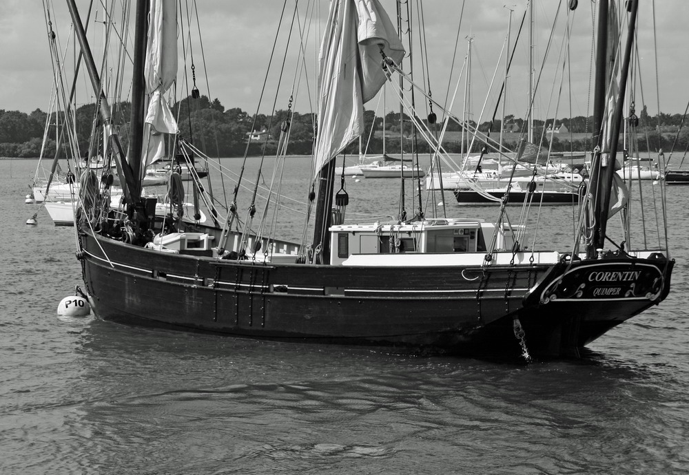 SEMAINE DU GOLFE 2009.045.JPG