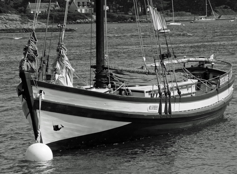 SEMAINE DU GOLFE 2009.047.JPG