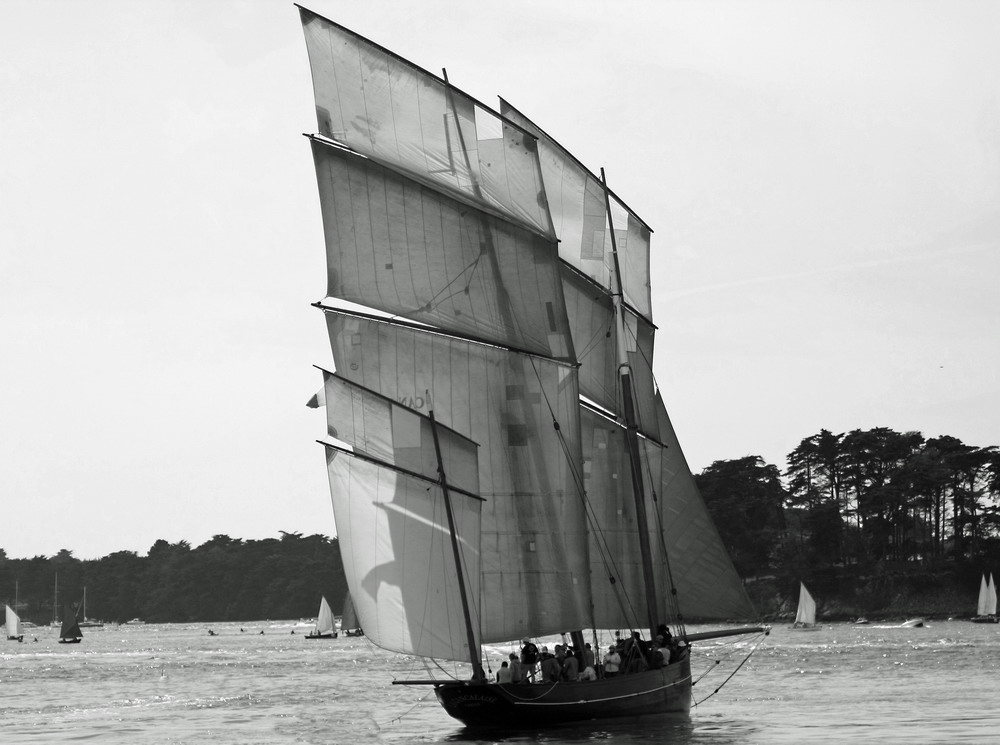 SEMAINE DU GOLFE 2009.088.JPG