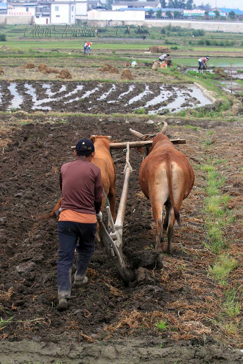 plowing