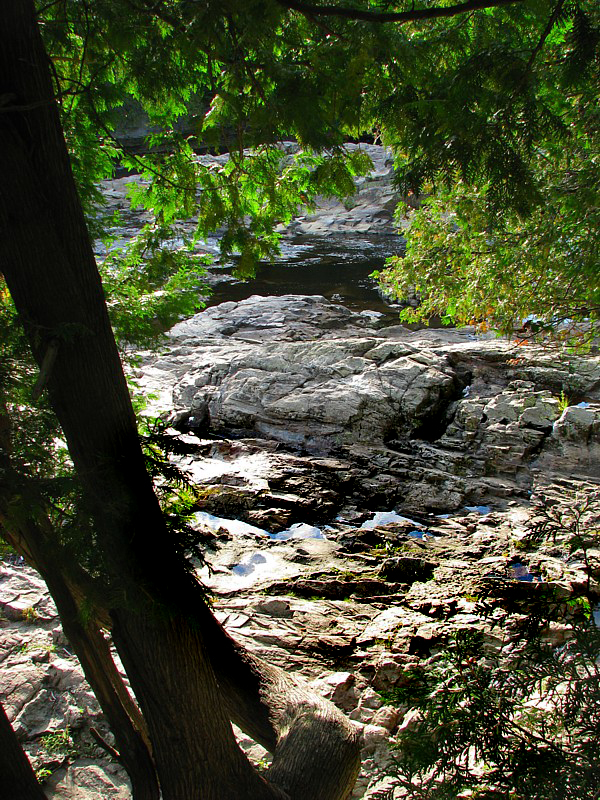 sous les arbres les rochers