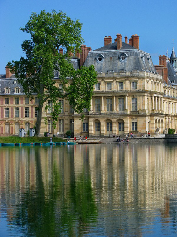 l'arbre sur le bord de l'eau