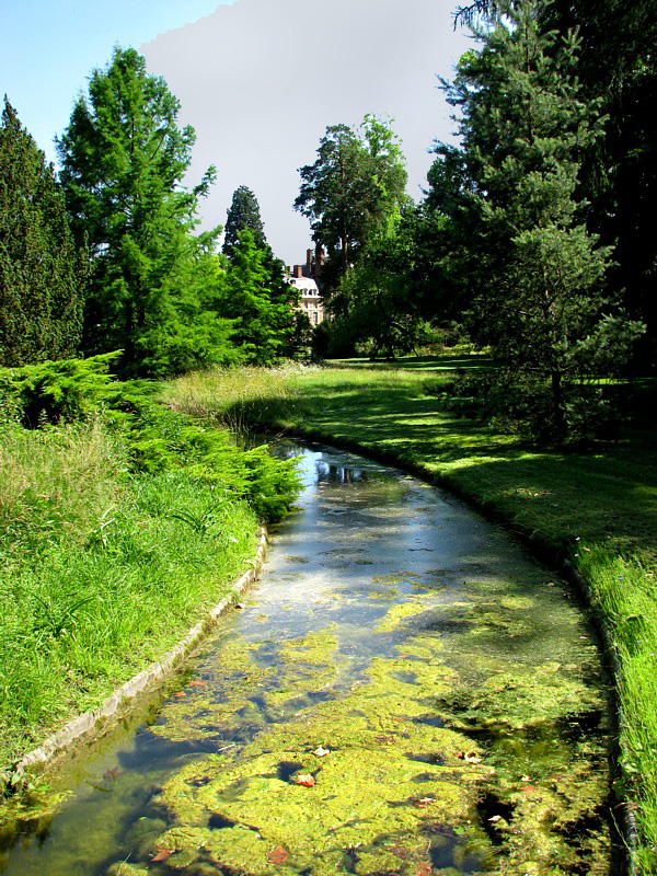 petit cours d'eau dans les jardins