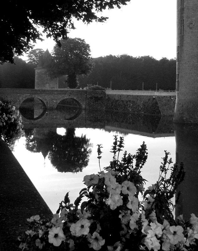 petit noir et blanc  Sully sur Loire