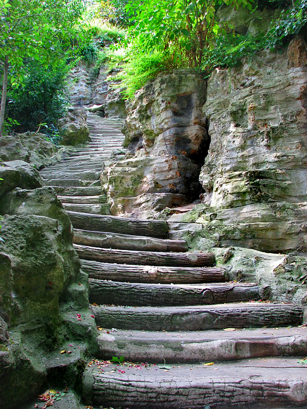 le pseudo escalier de bois