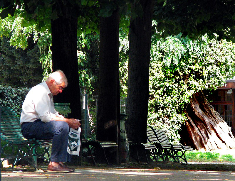 sous les arbres