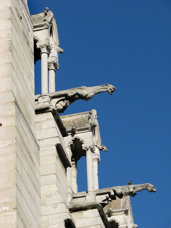 Gargouilles  Notre-Dame