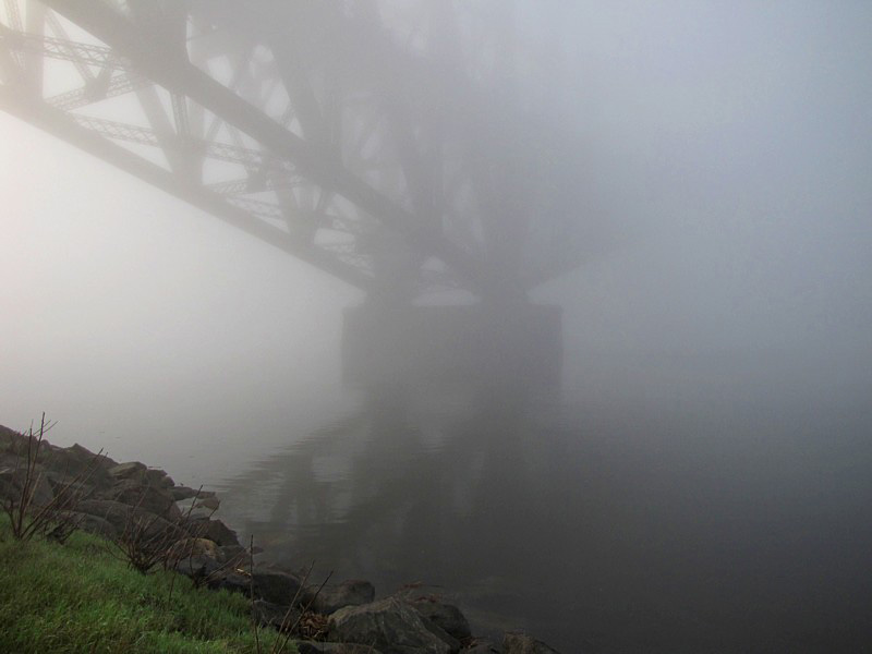 sortie timide du brouillard