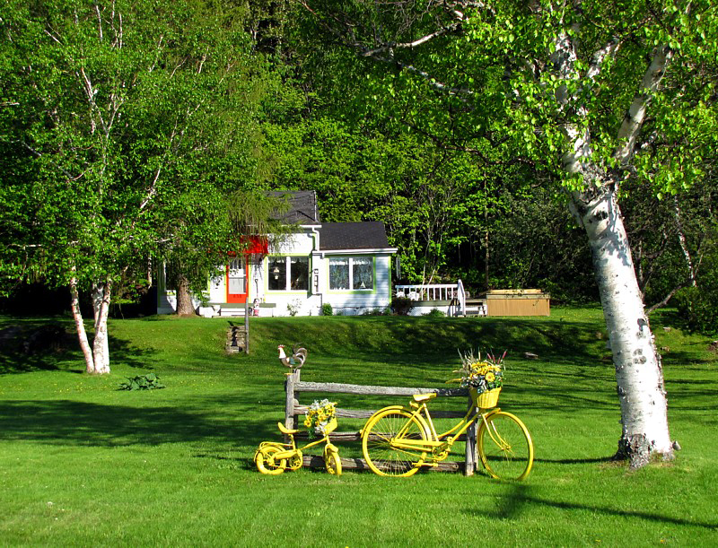 une bicyclette jaune sur le gazon
