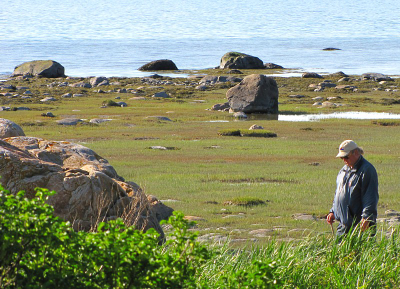 le promeneur solitaire