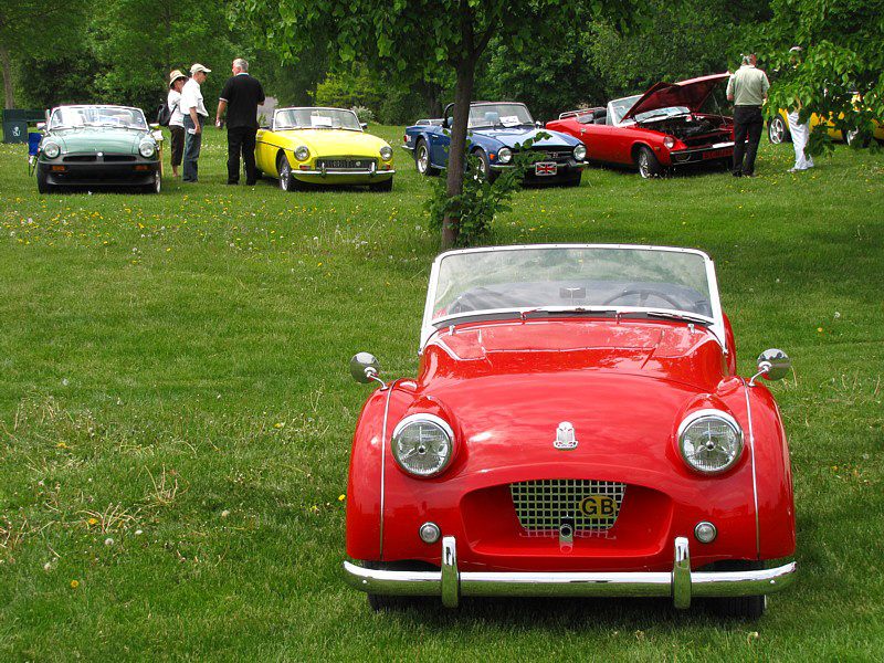 la belle rouge sur fond de MG