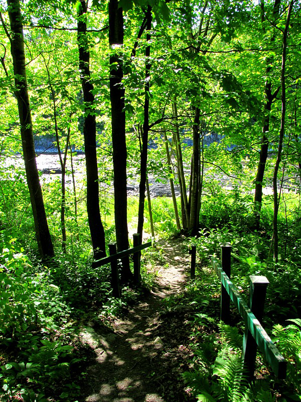 le sentier vers la rivire
