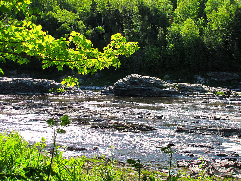 la rivire Chaudire aux rapides du Diable