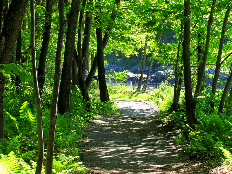 sentier lumineux
