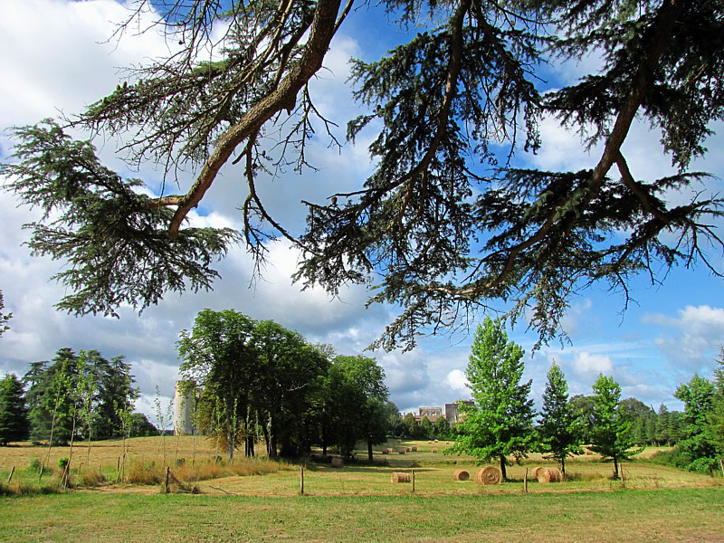 campagne d'Aquitaine