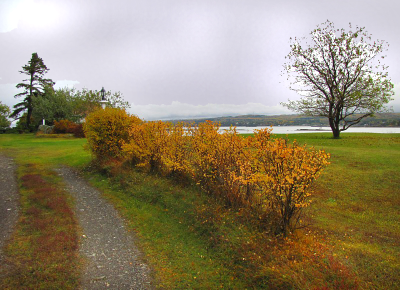 Un chemin sur la route du phare