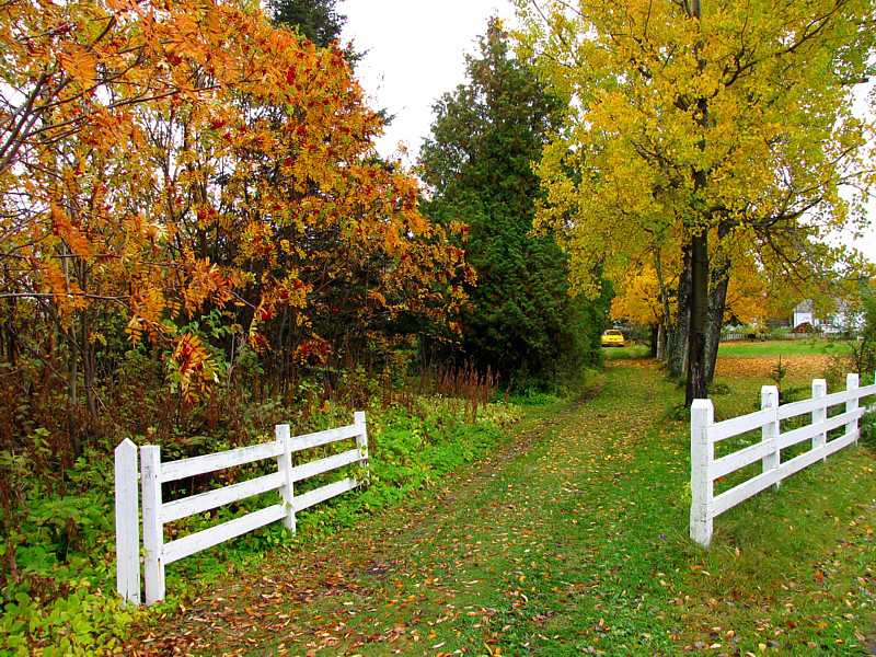 L'entrée aux barrières blanches