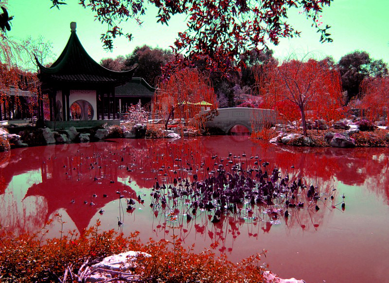 le lac de sang , l'approche vampire