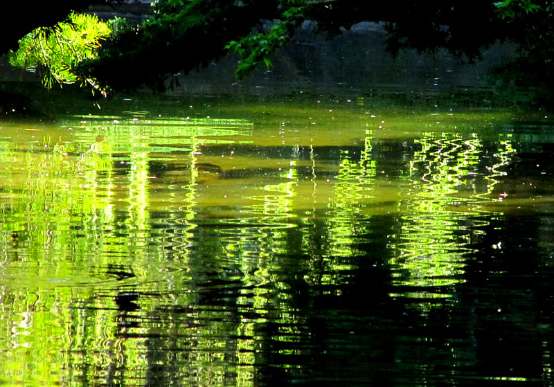 les reflets verts du petit lac