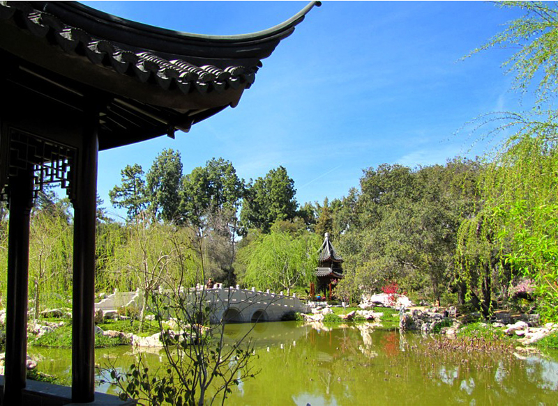 le bassin du jardin chinois