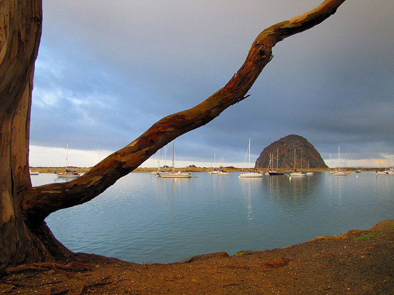 DE MALIBU  MORRO BAY EN PASSANT PAR SANTA BARBARA