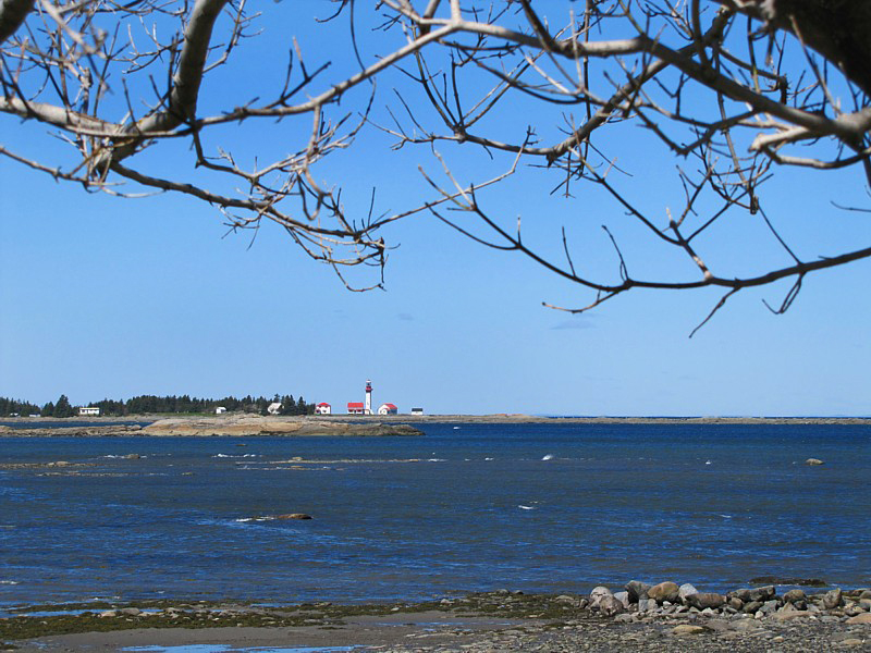 Un phare sous les arbres