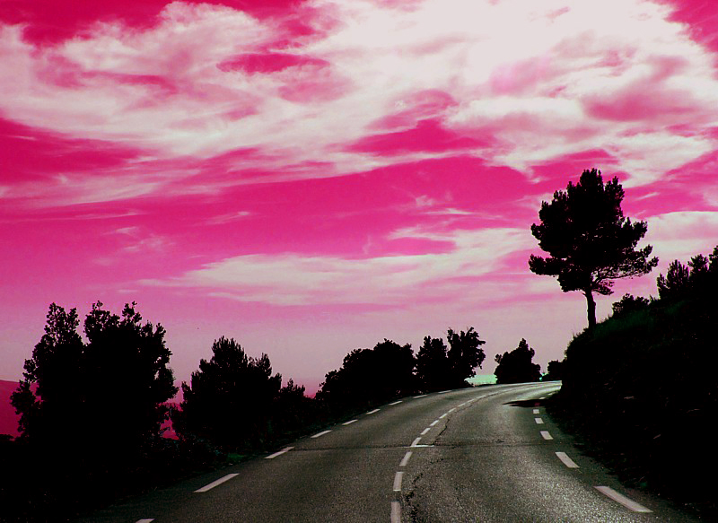 Ivresse de la route
