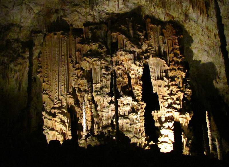 l'orgue naturel