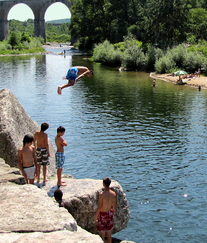 le plongeon fig