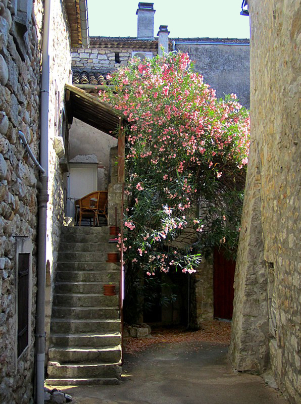 Ruelle fleurie , Ruoms